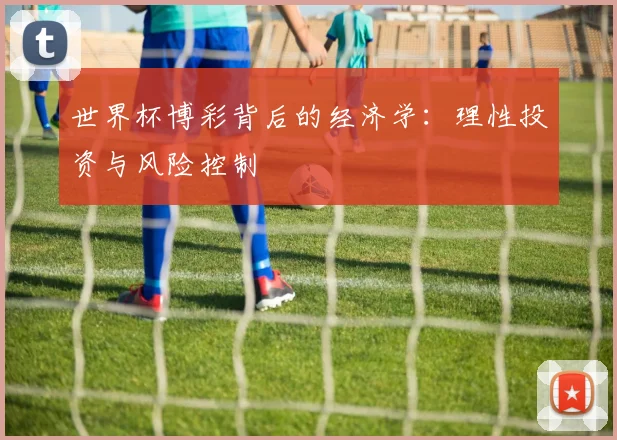 世界杯博彩背后的经济学:理性投资与风险控制
