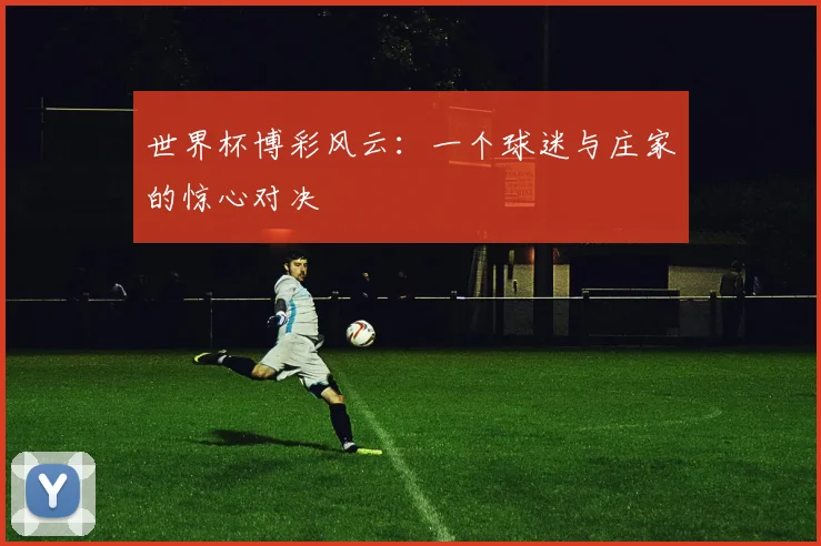 世界杯博彩风云：一个球迷与庄家的惊心对决