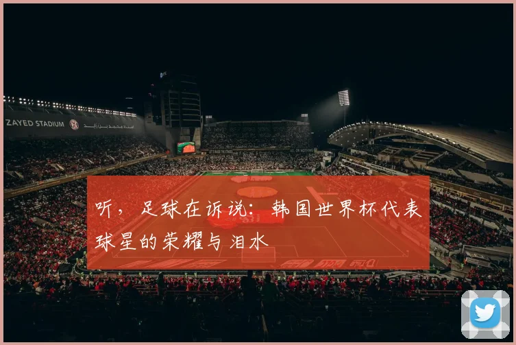 听,足球在诉说:韩国世界杯代表球星的荣耀与泪水