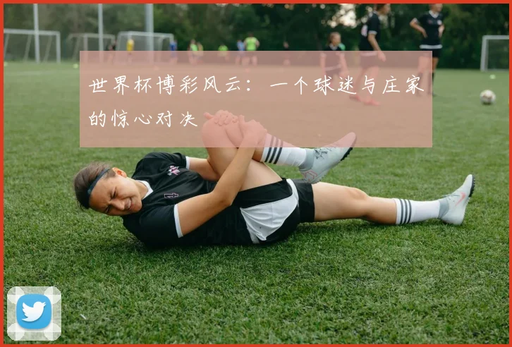 世界杯博彩风云：一个球迷与庄家的惊心对决