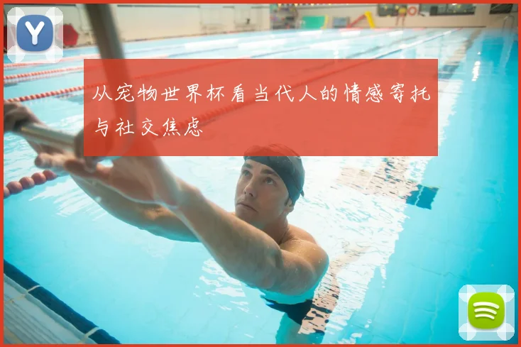 从宠物世界杯看当代人的情感寄托与社交焦虑